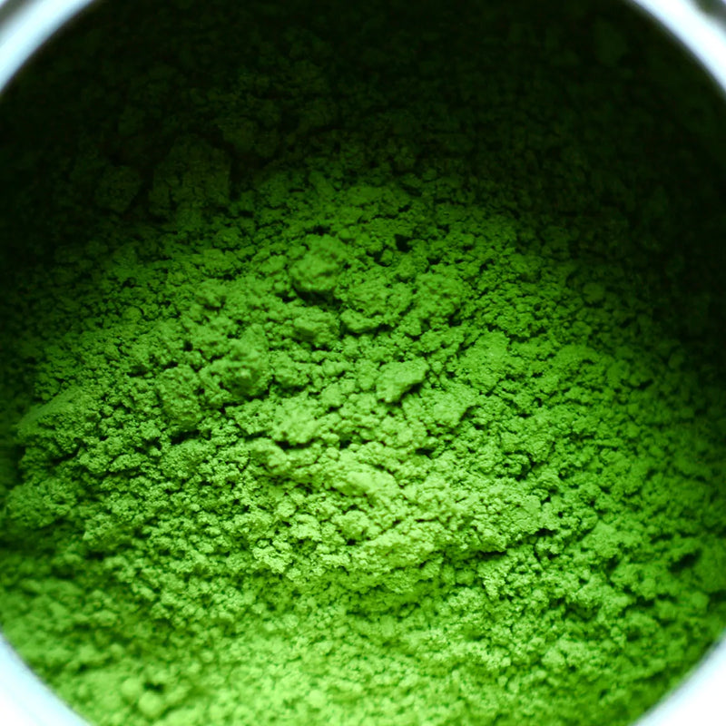 Zuisen no Shiro (瑞泉の白) Marukyu Koyamaen Sado Matcha